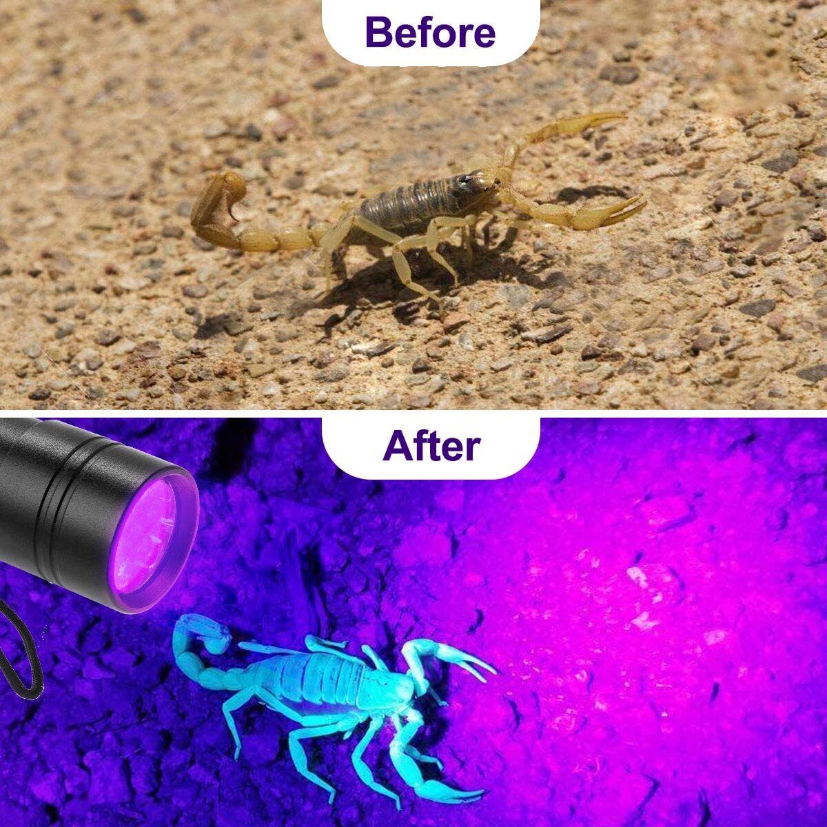 Disc Connection Performance UV Torch Flashlight 12 LED